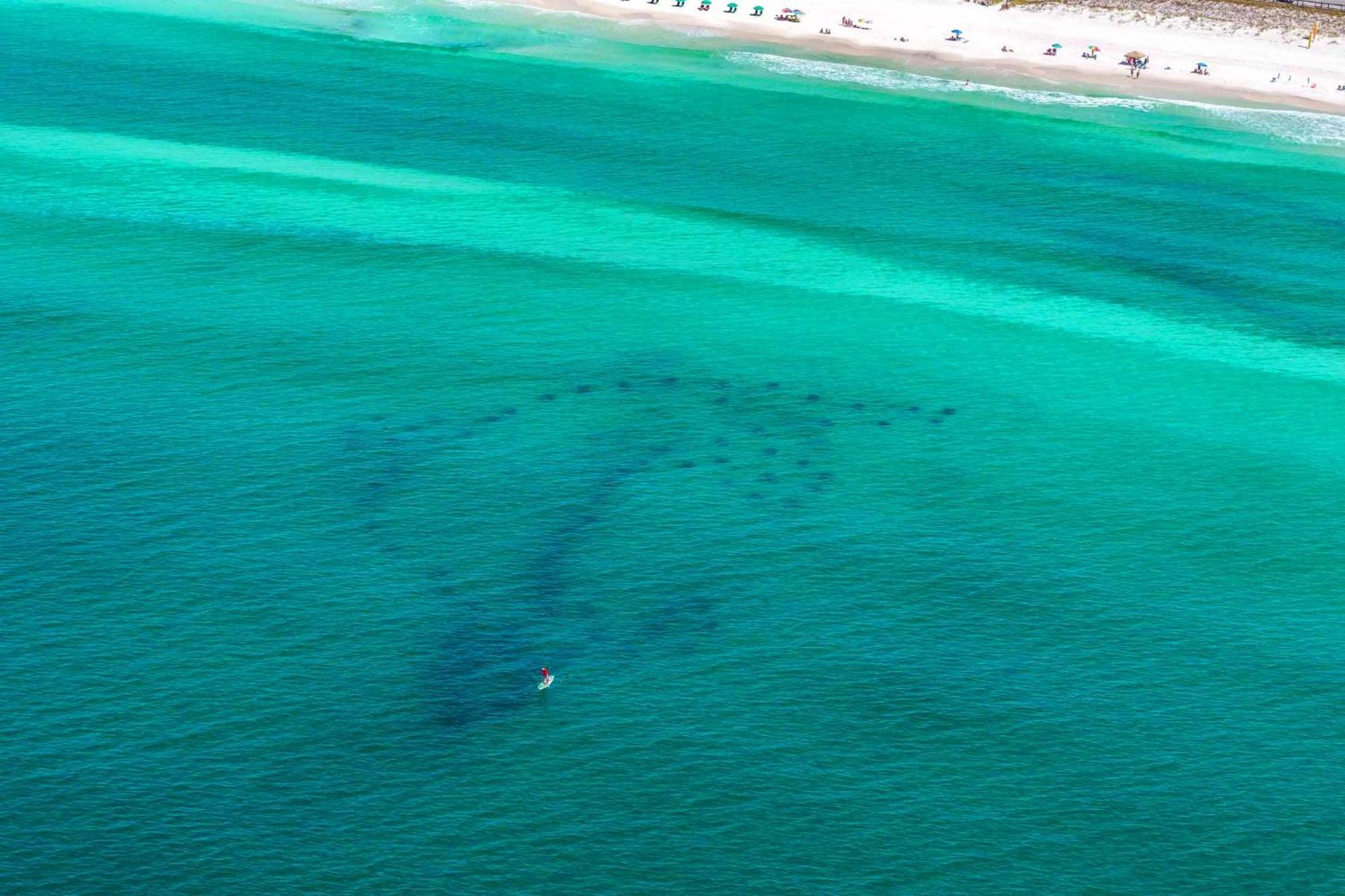 Ariel Dunes I 2207 Destin